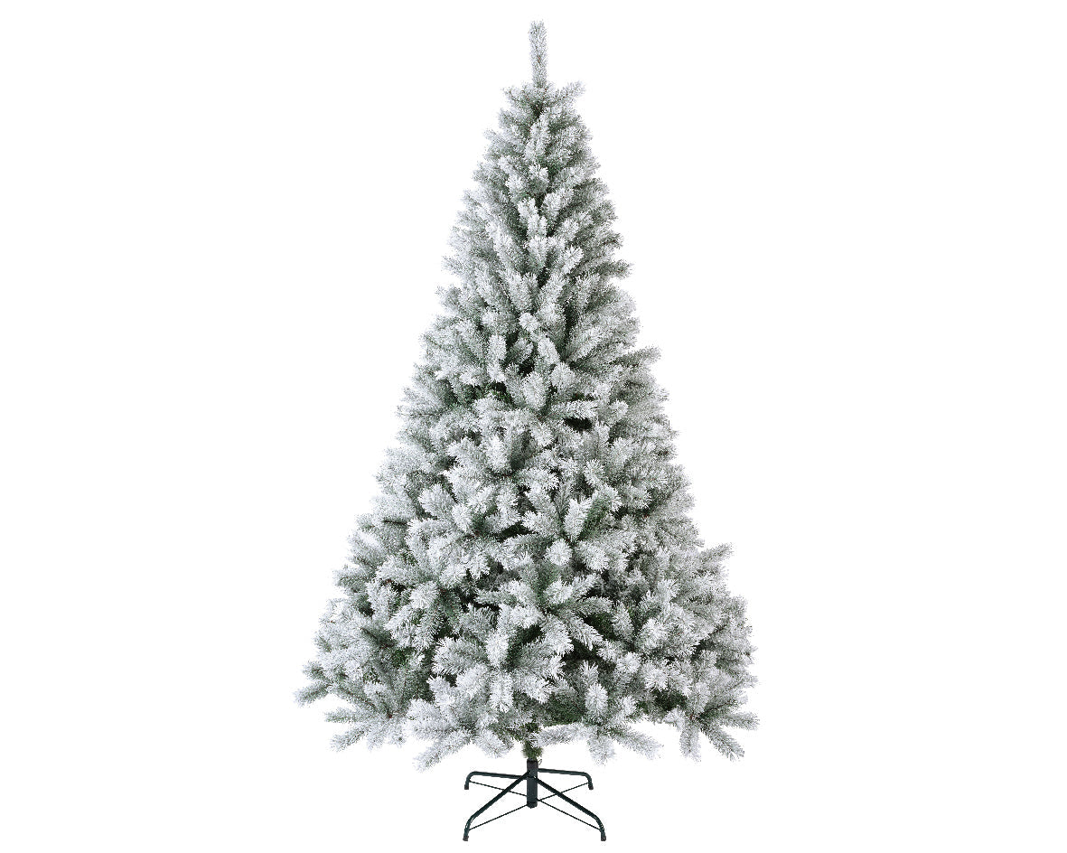 Sapin de Noël canadien, épicéa givré, 140 cm x 210 cm (H)