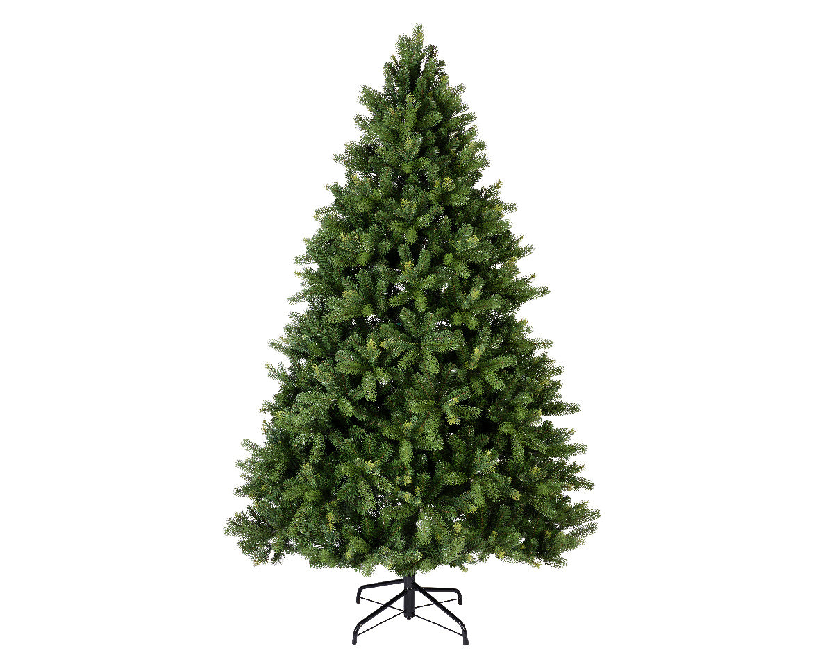 Sapin de Noël en pin de Fribourg 155 cm x H.240 cm