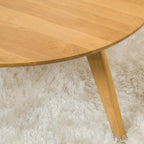Table basse ronde Canton en bois d'acacia par Christopher Knight Home