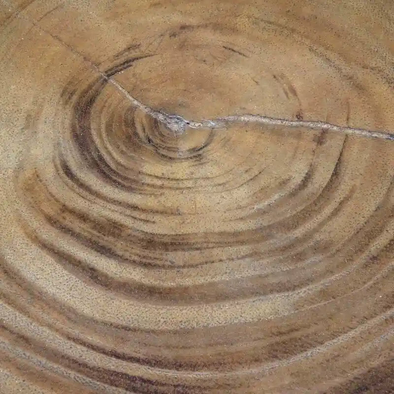 Table d'appoint ronde en bois d'acacia massif naturel par East at Main